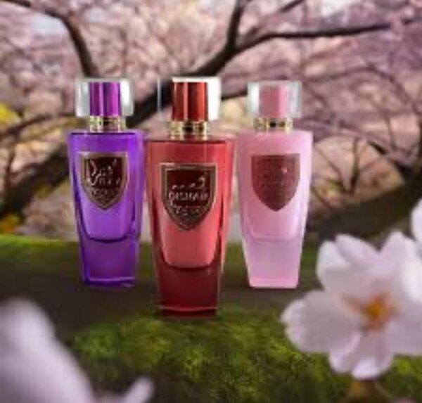 Parfums féminins élégants 3x