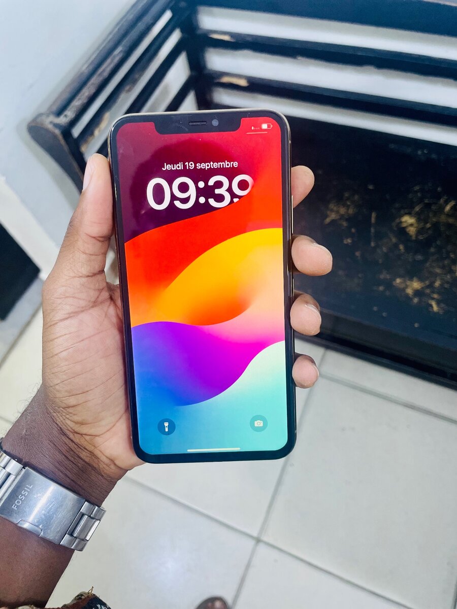 iPhone 11 Pro Max / 256 Giga