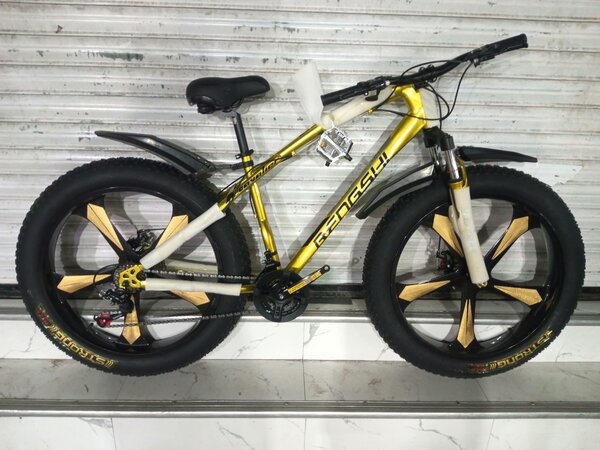 Boys bicycle Bengshi company