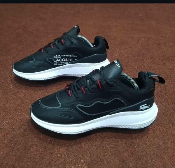 Baskets Lacoste Homme Élégantes