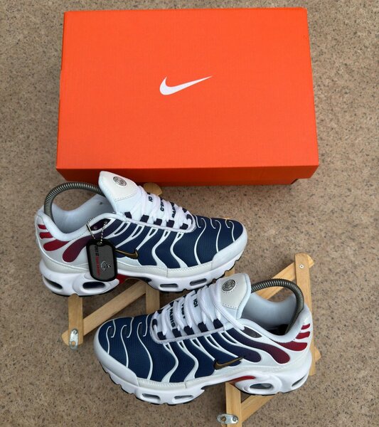 Baskets Nike Air Max TN