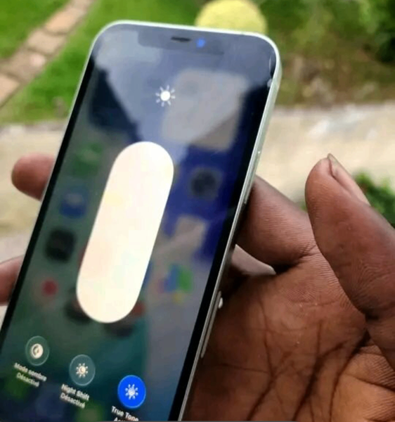 iPhone 12 Blanc 256 Go