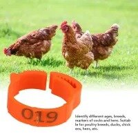 20 Pcs Chicken Leg Bands Adjustable Chicken Poultry Rings Pigeon Geese Quail Bird Ring Carry Tools Feeding Number Tag - Random Color