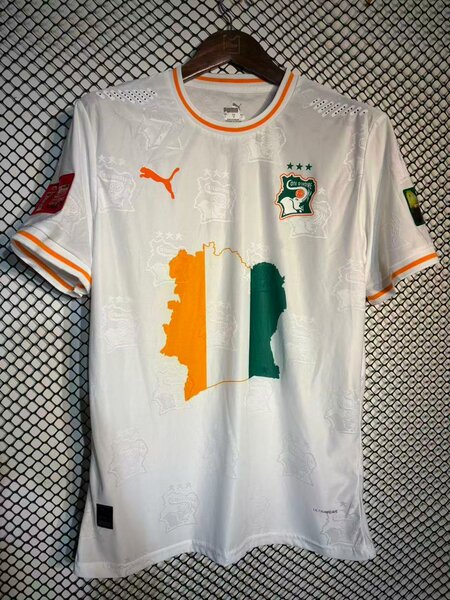 Maillot Côte d'Ivoire Puma