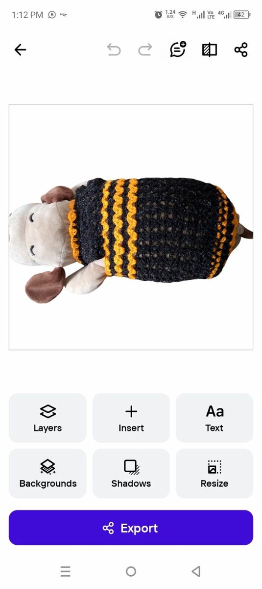 Winter dress for cats