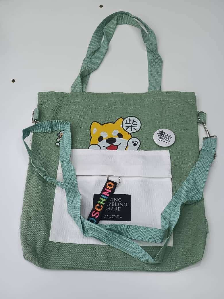 Book bag/ shopping bags