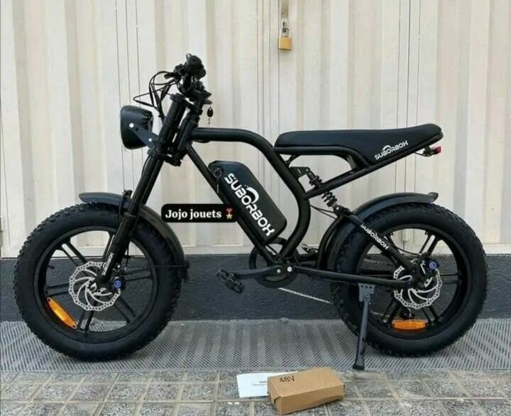 Vélo électrique tout-terrain puissant