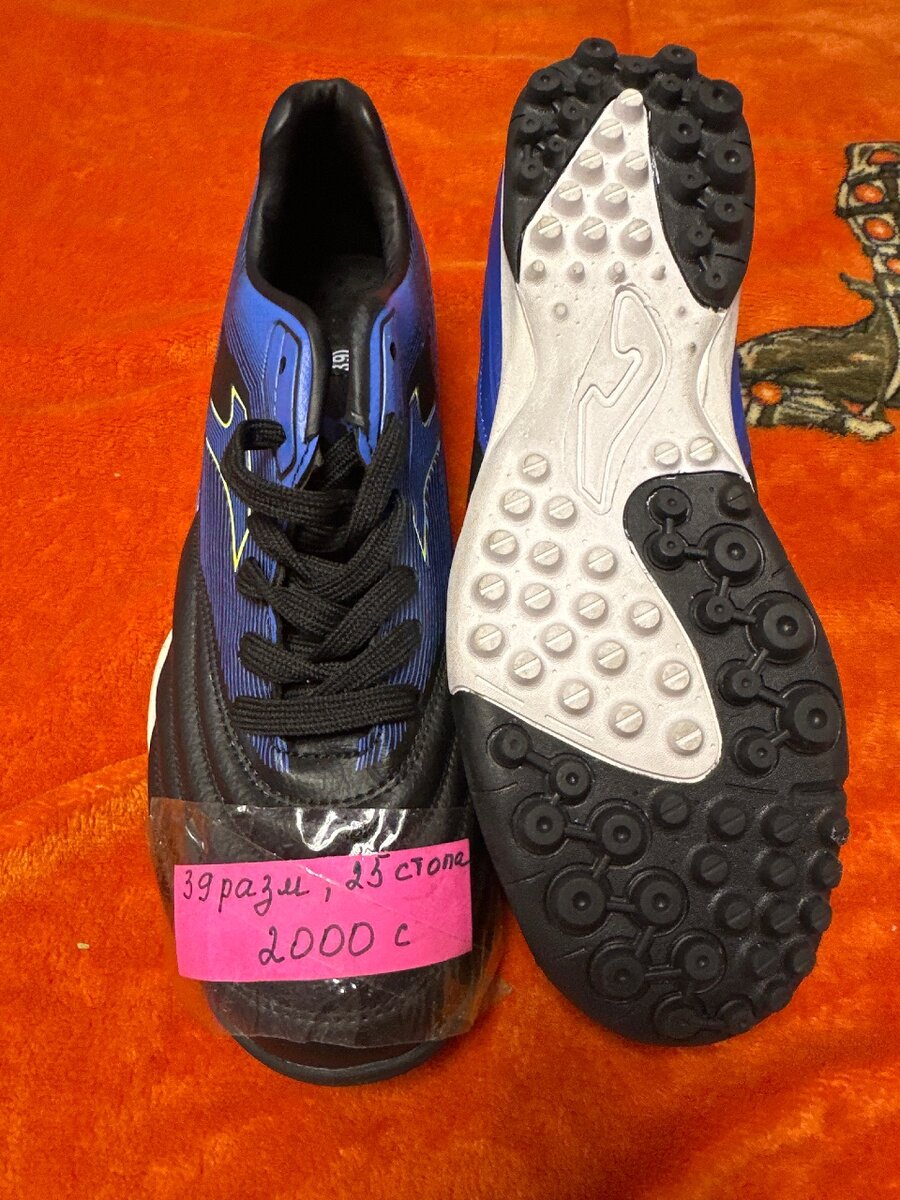 Сороконожки