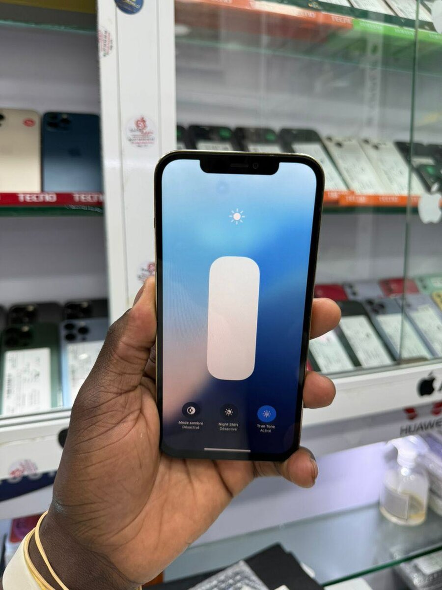 12 pro max 128giga sans id