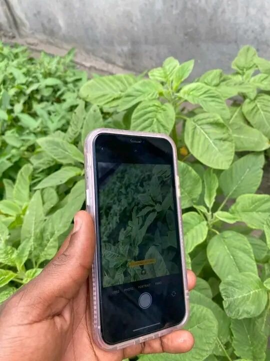 Coque iPhone marbrée