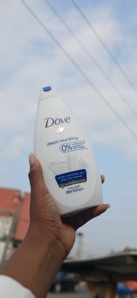 Dove nourrissant