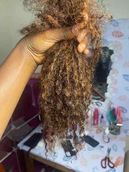 Extensions de locks métisse