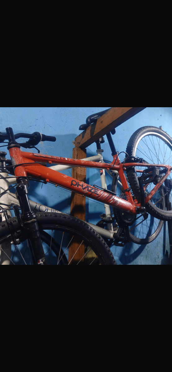 Vélo de montagne robuste