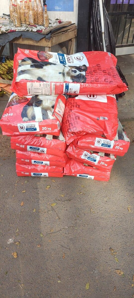 Croquettes au boeuf pour chien adulte