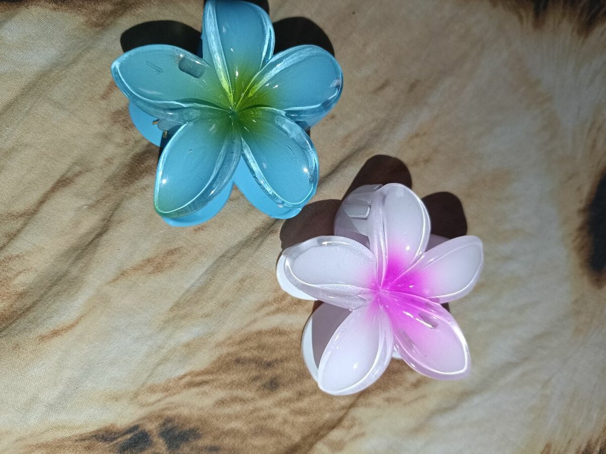 Pinces à cheveux fleurs colorées