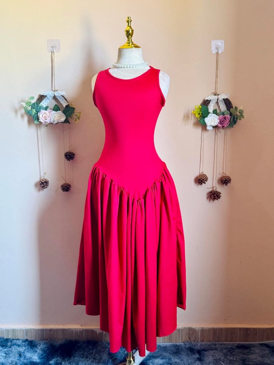 Ladies stretchy dress