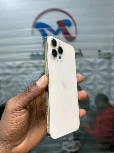 iPhone Pro Max Argent