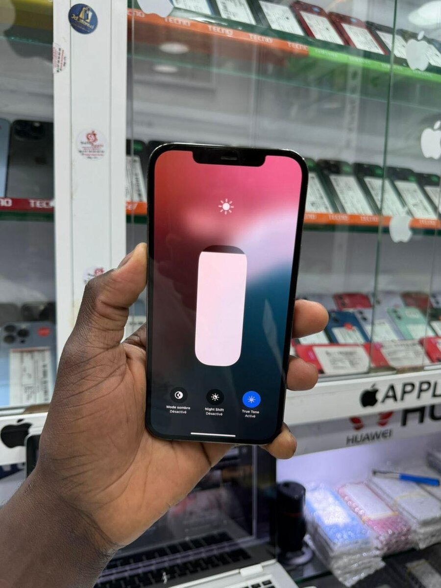 12 pro max 256 Go sans message