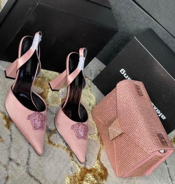 Ladies bag and dress shoe