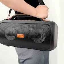 Portable speaker