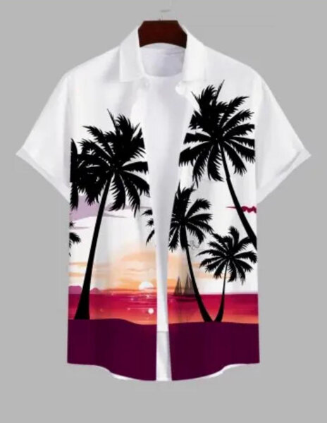 Chemise Hawaiienne Été