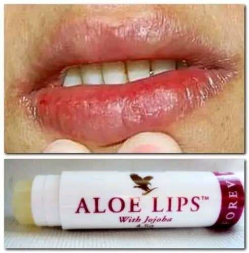 Baume à Lèvres Aloe Hydratant