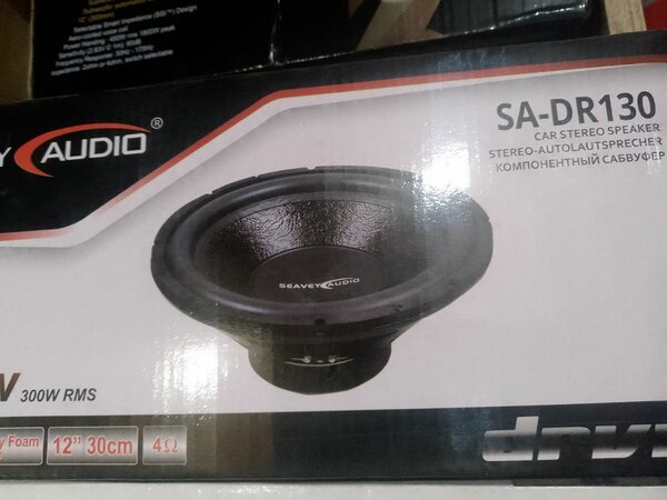 Pioneer speakers