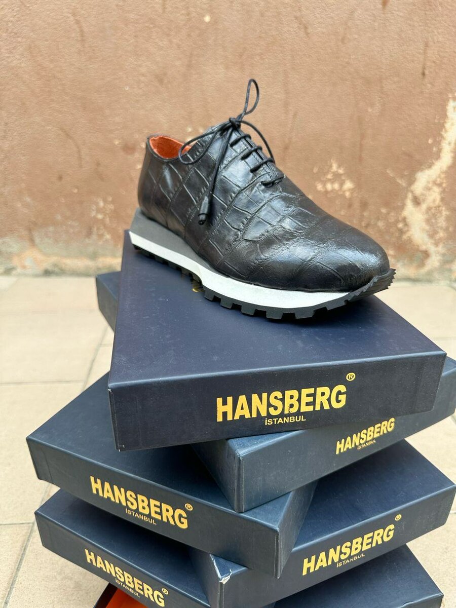 Basket homme ( hansberg)