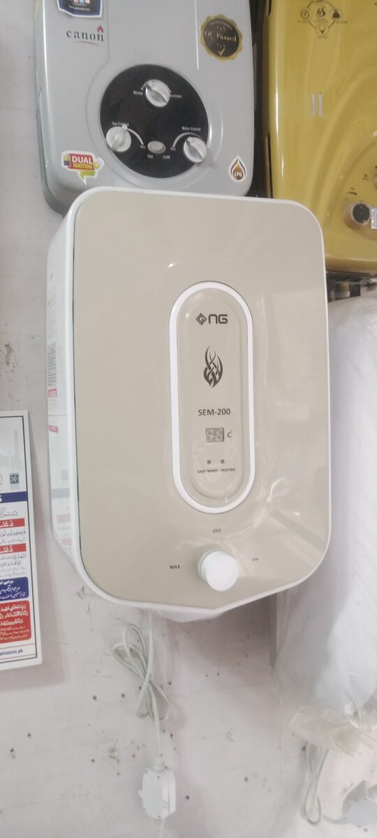 Electric geyser
