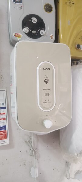 Electric geyser