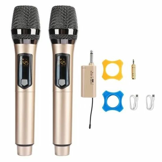 Microphones sans fil duo