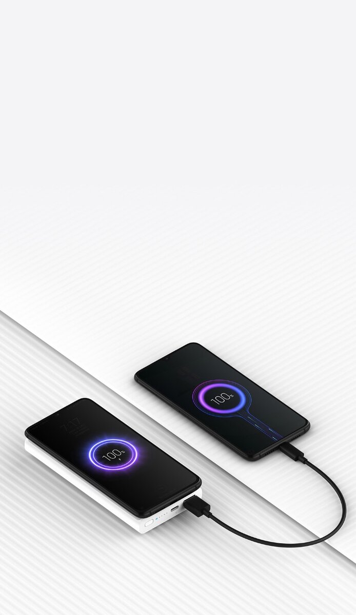 Xiaomi Power Bank 10000mAh