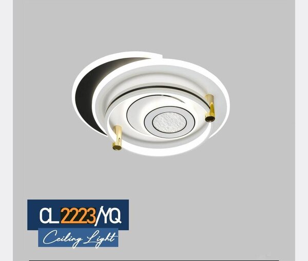 Decorative Ceiling light