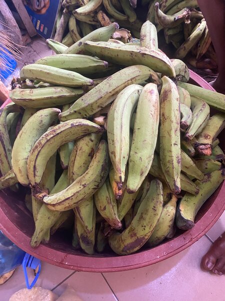 Bananes Plantains Vertes