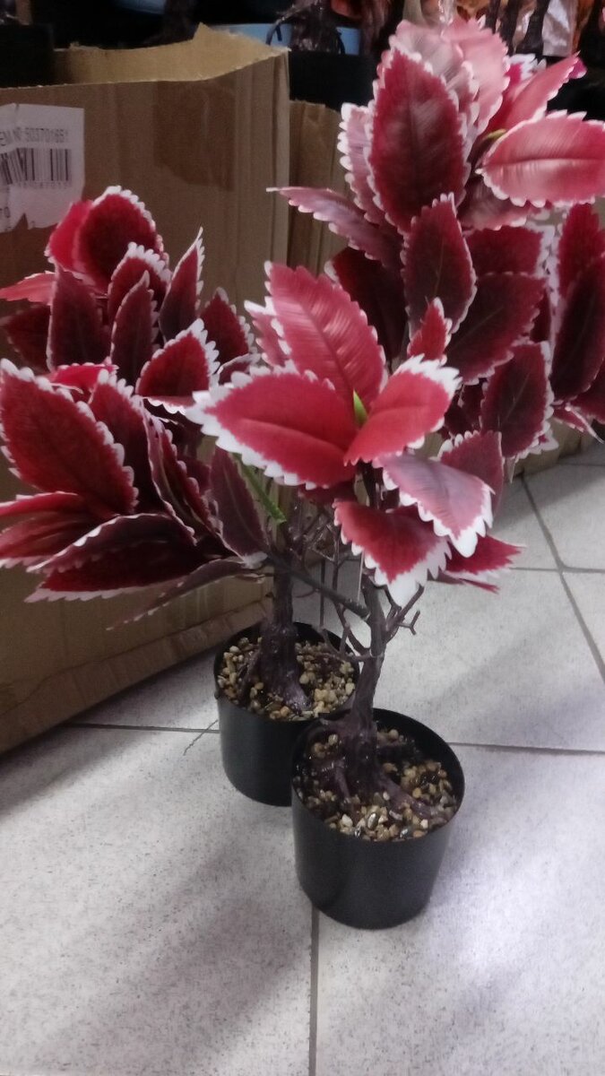 Plantes artificielles colorées