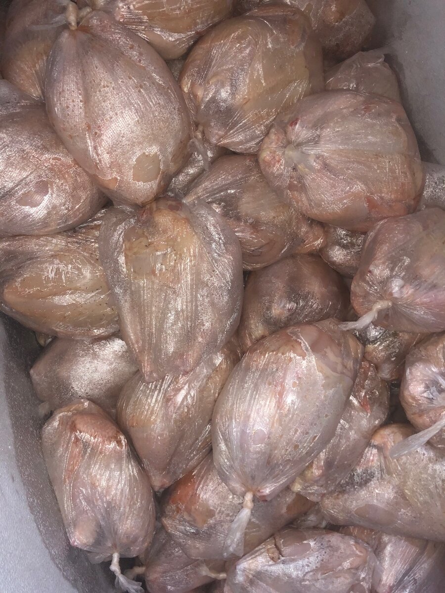 Poulets entiers emballés