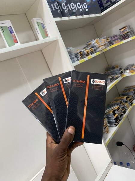 écran iPhone 13 Pro Max