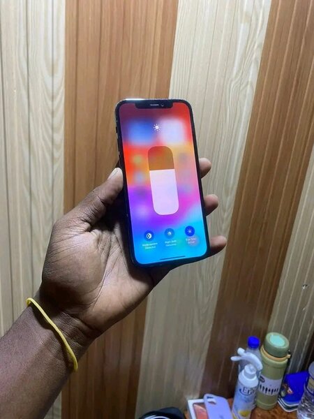 iPhone 12 Pro Max Bleu