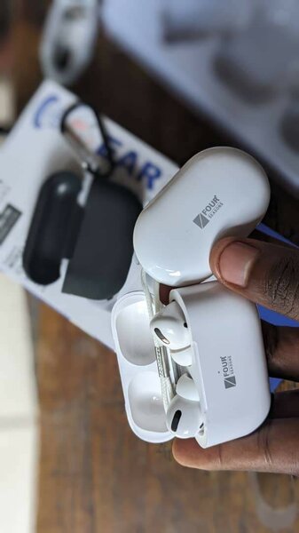 Four seasons earpods