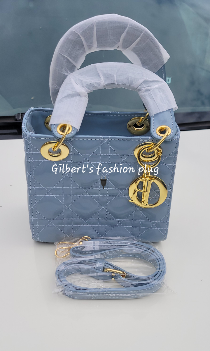Gray christian dior handbags