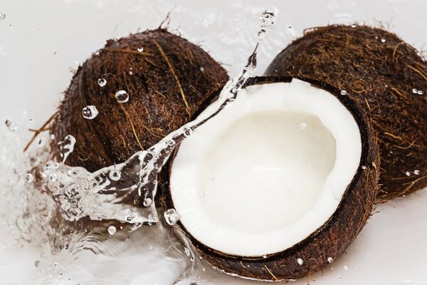 Coconut