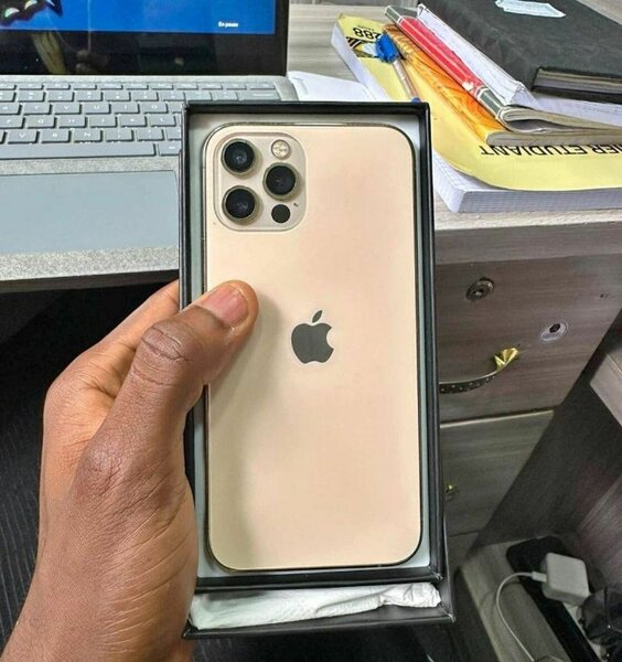 iPhone 12 Pro Max 256GB Or