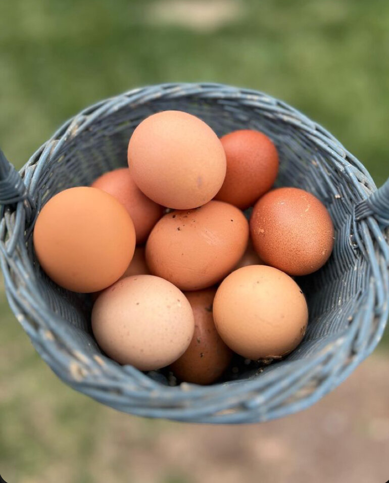 Œufs fermiers frais