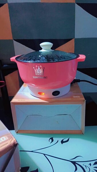 Mini Cuisinière Électrique Multifonction