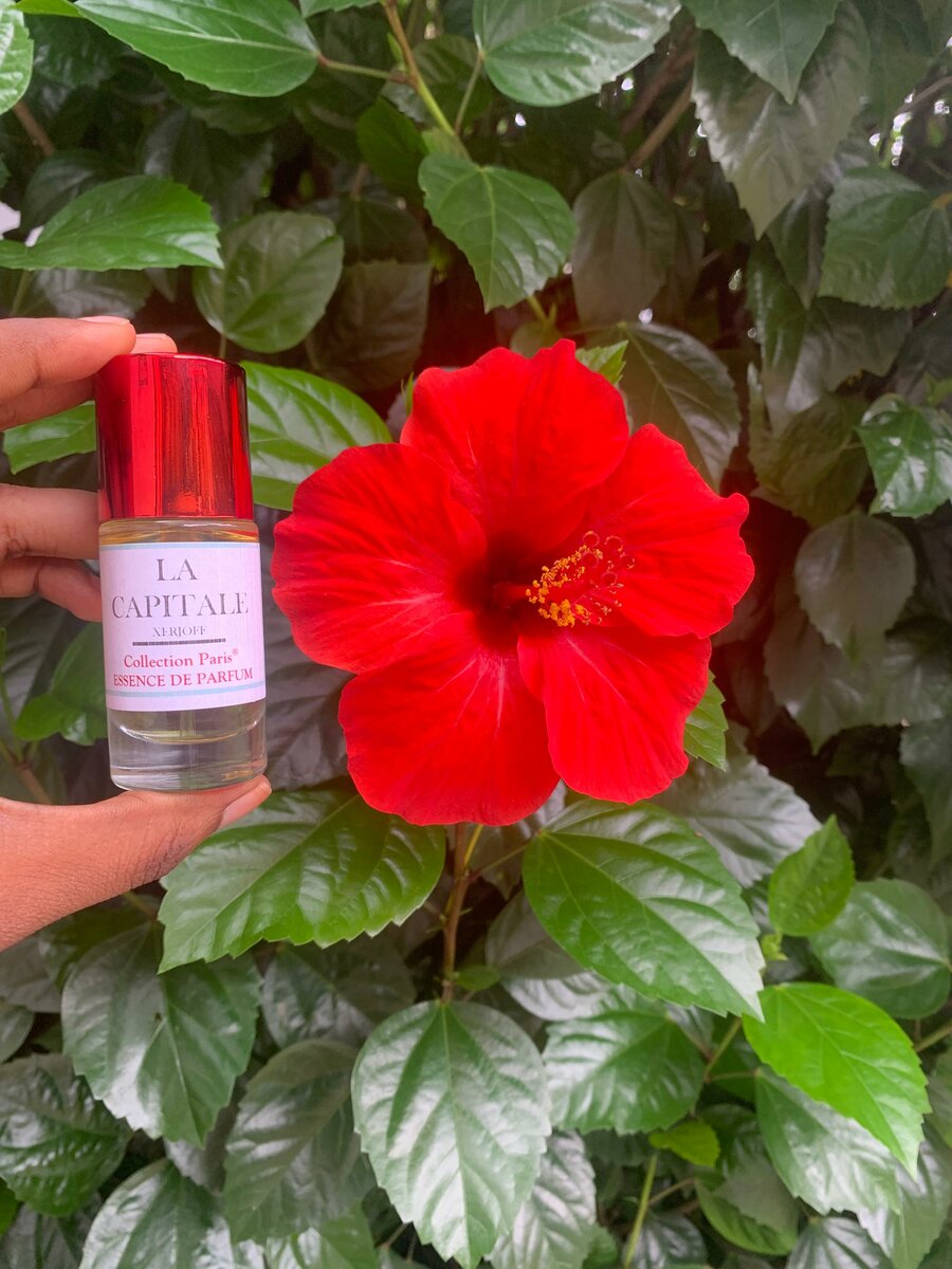 Essence de parfum sans mélange