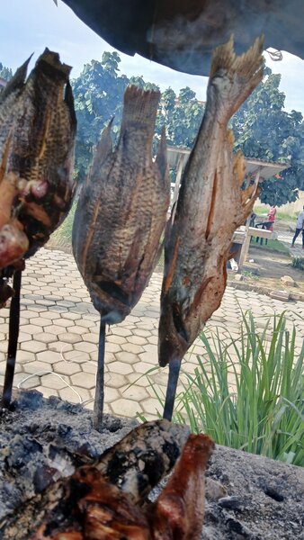 Machoiron Piqué Savoureux