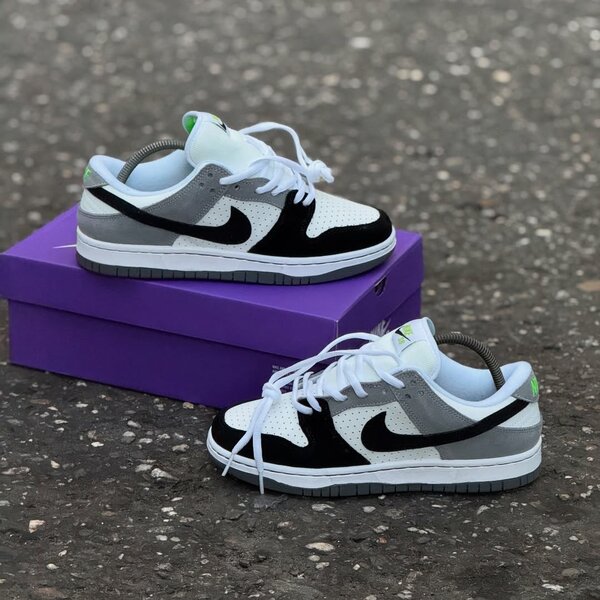 Nike SB Dunk Low Gris et Noir