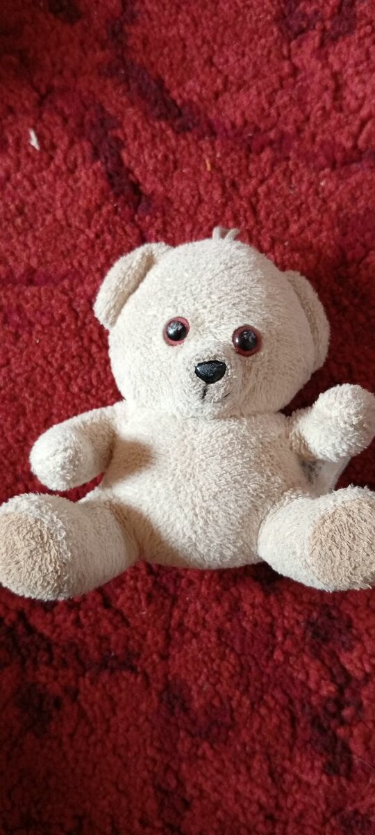 Ours en peluche doux