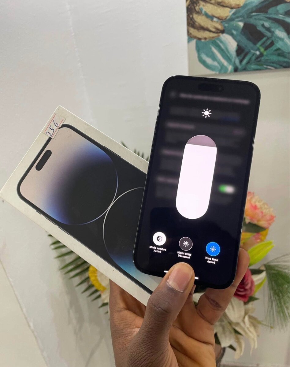 iPhone 14 Pro Max 256 Go