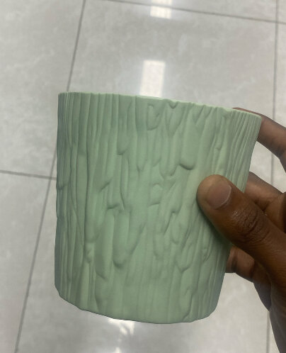 Trois pots de fleurs